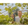 Tijeras de jardín AssistCut de Gardena